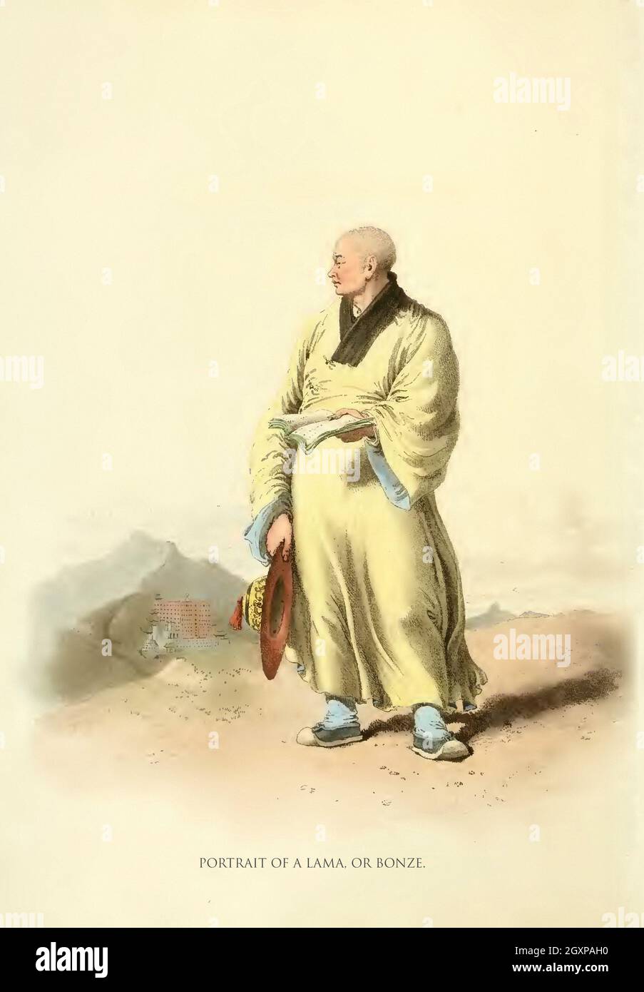 Porträt eines Lama oder Bonze Stockfoto