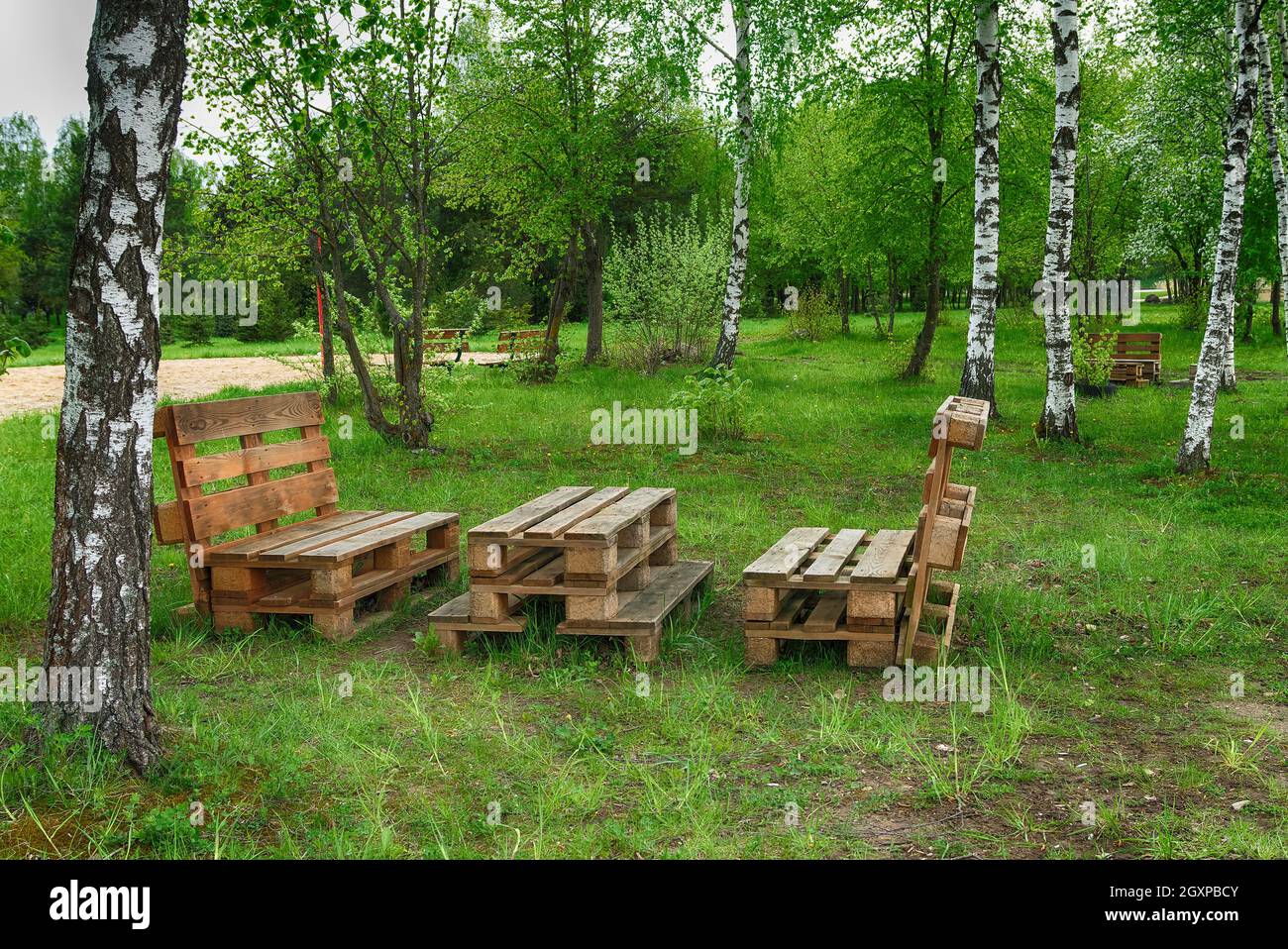 Gartenmöbel aus Holzpaletten, umgeben von Birken Und Grün in der Sommersonne Stockfoto