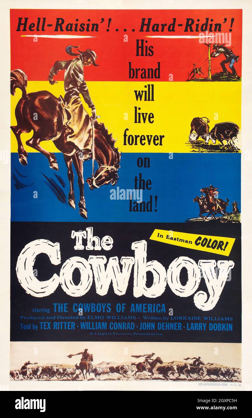 The Cowboy (1S) Stockfoto