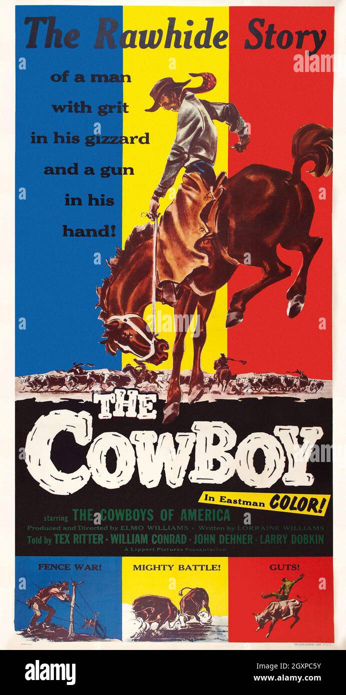 The Cowboy (3S) Stockfoto
