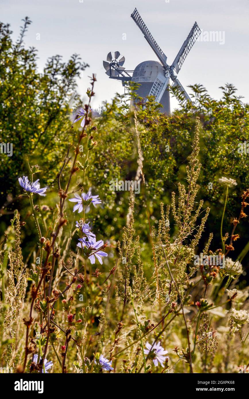 Wilton Windmill, eine renovierte Sehenswürdigkeit aus dem 19. Jahrhundert, mit üppigen Sommerblumen und Hecken im Vordergrund. Stockfoto