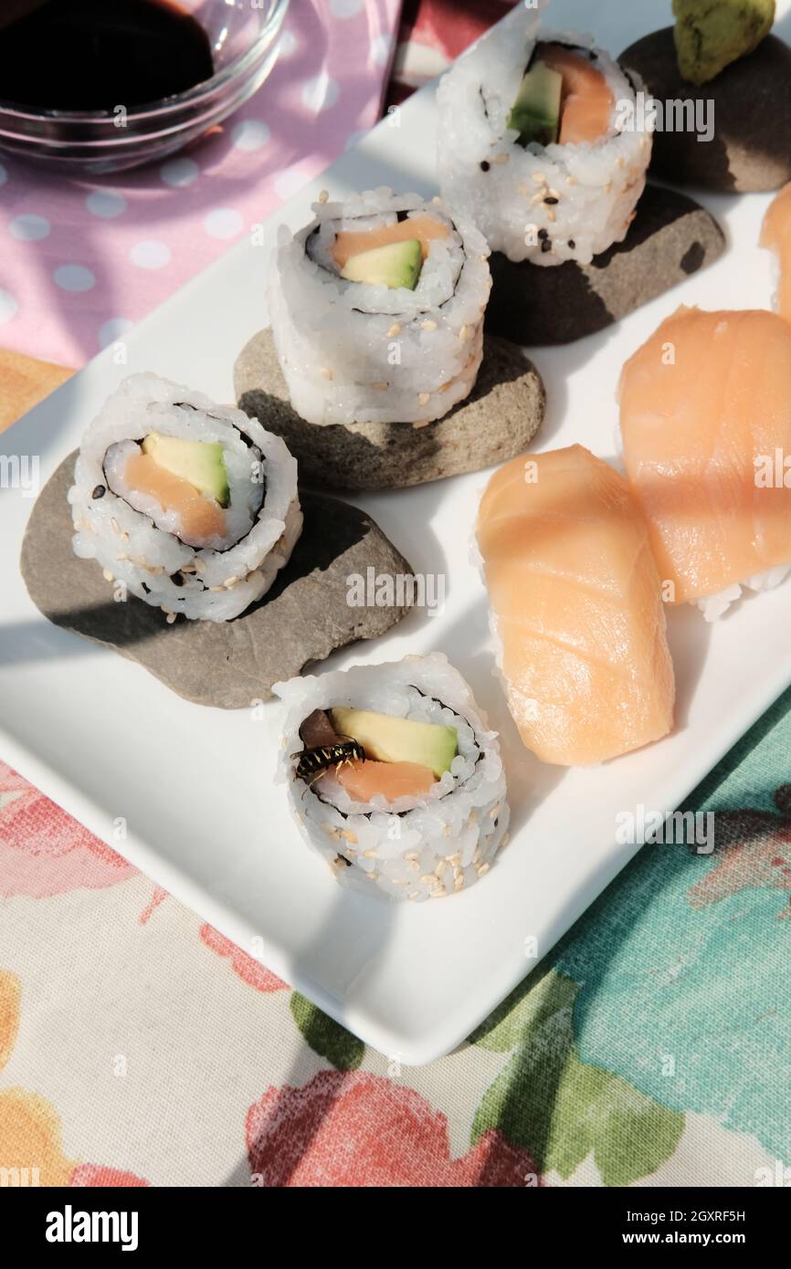 Wespe landete auf japanischem Avocado-Sushi mit Lachs und Nigiri Stockfoto
