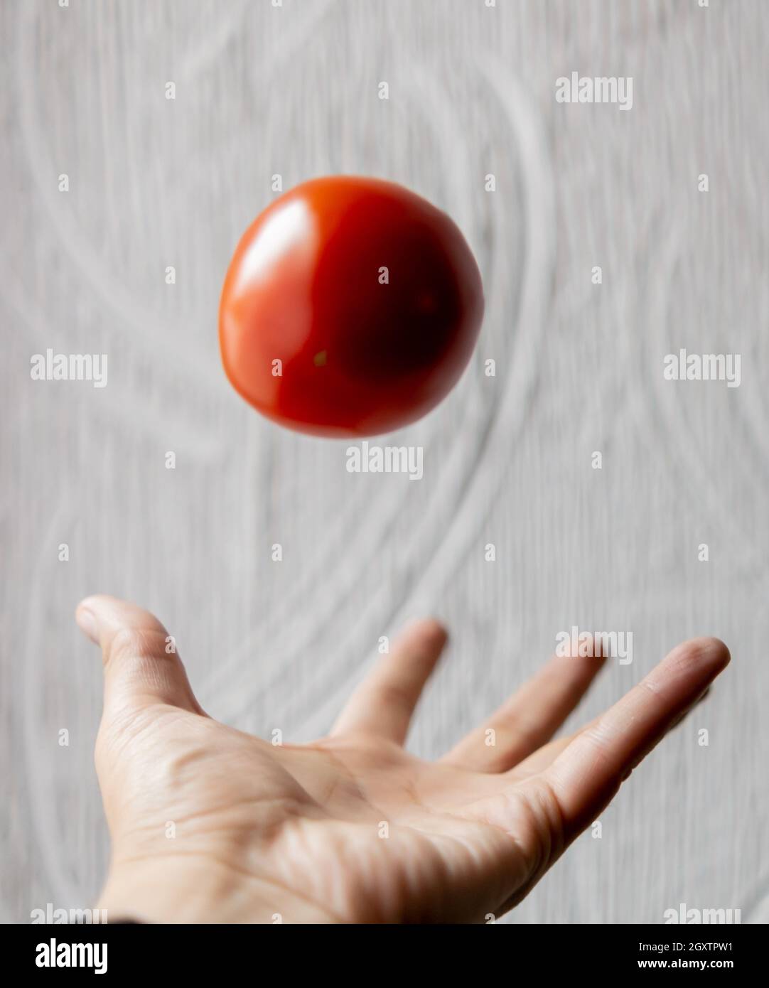Handwerfende Tomate mit weißer strukturierter Wand als Hintergrund Stockfoto