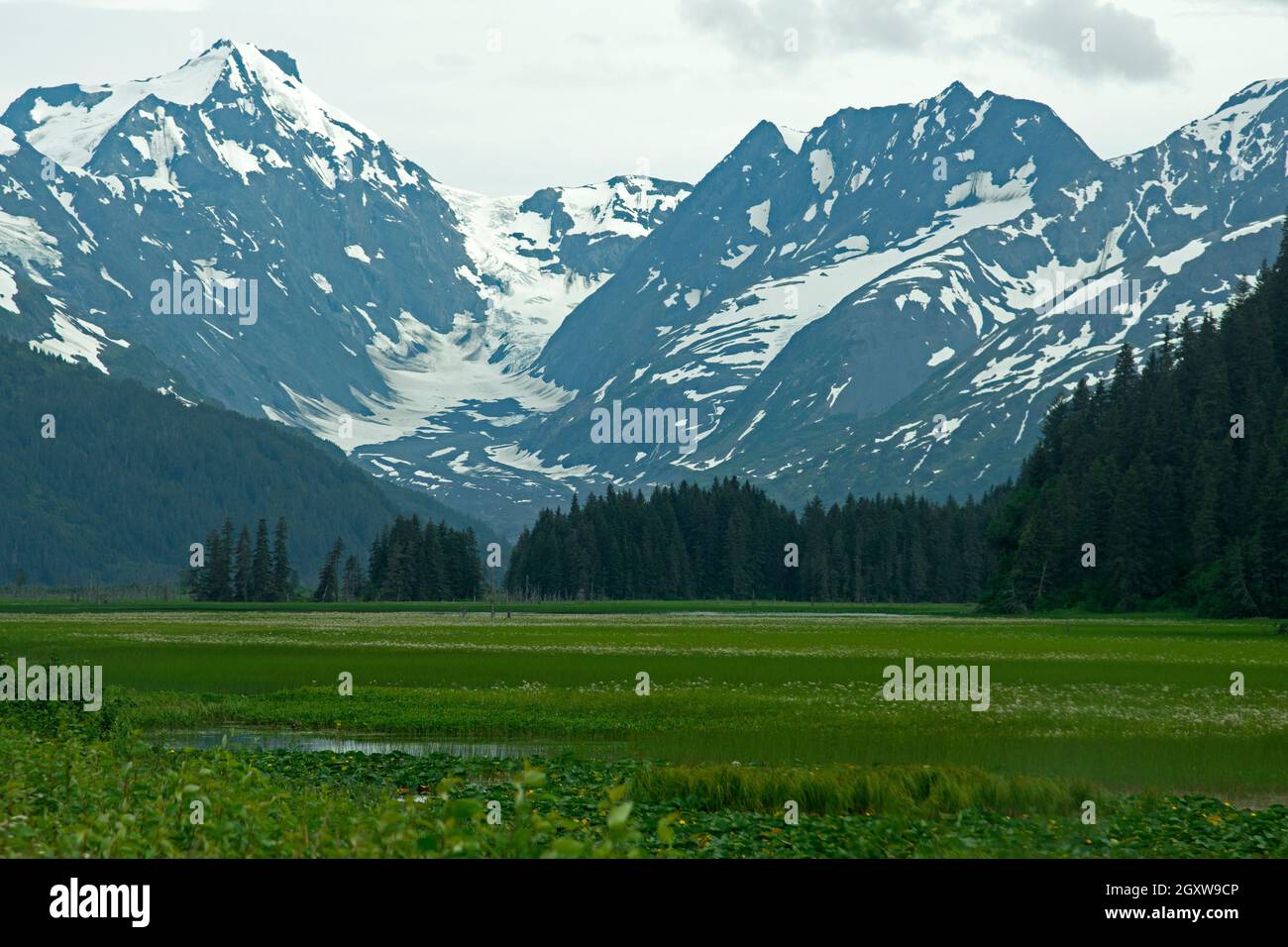 Wilde malerische Aussicht auf ein Sumpfgebiet und schneebedeckte Berge, Kenai Peninsula, Alaska, USA Stockfoto