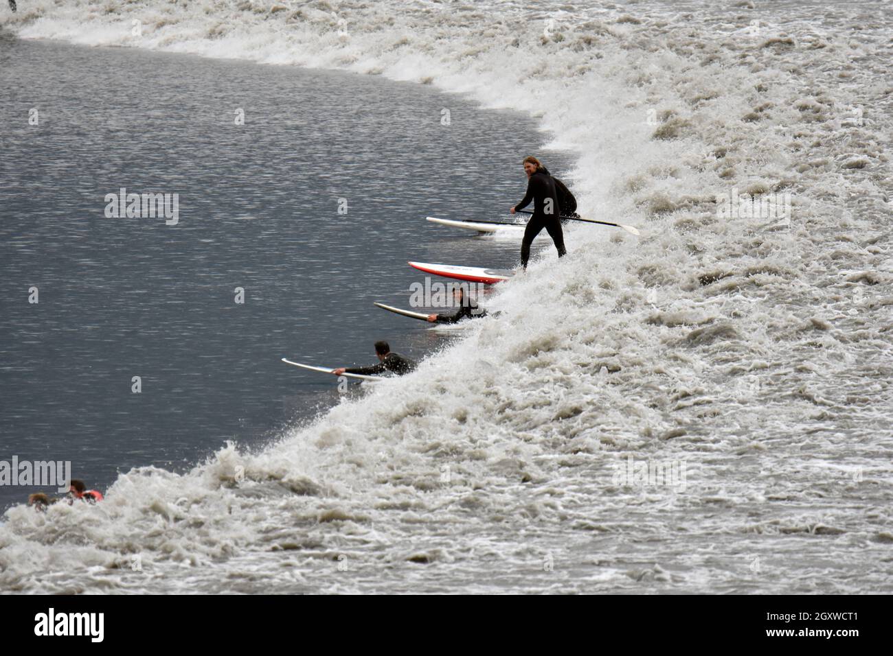 Surfer im kalten Wasser reiten auf einer gebohrten Gezeitenwelle im Turnagain Arm des Cook Inlet, Anchorage, Alaska, USA Stockfoto