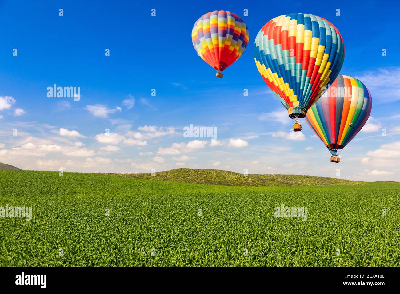 Heißluftballons über üppig grüne Landschaft und blauer Himmel. Stockfoto