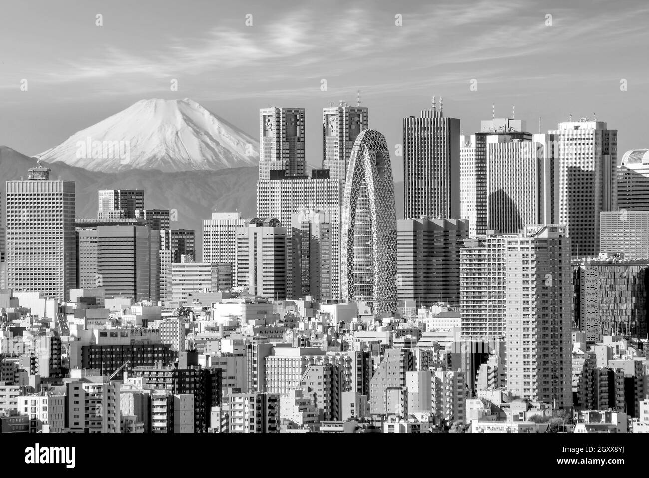 Skyline von Tokio und Berg fuji in Japan Stockfoto