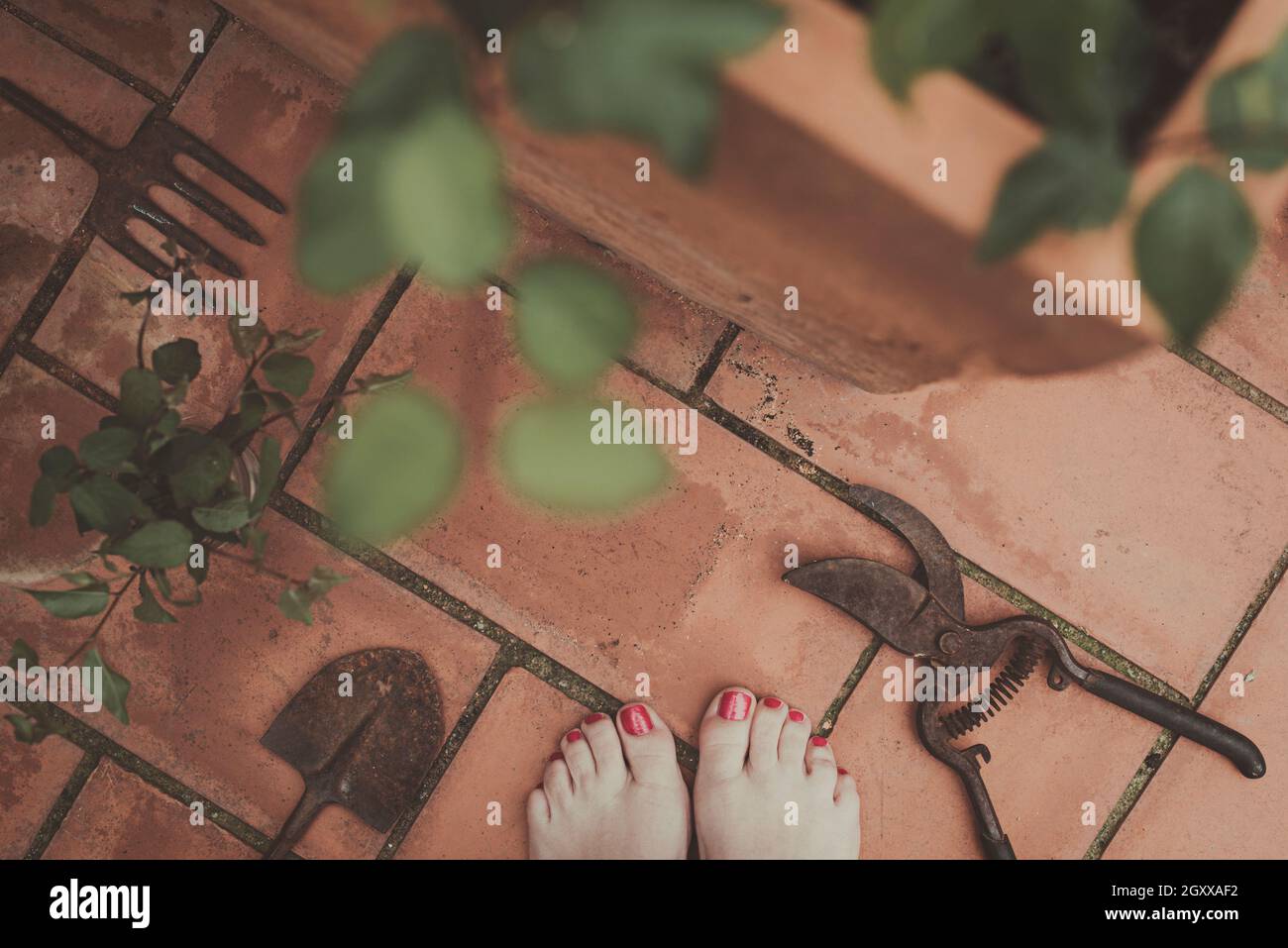 Blick von oben auf die Füße einer Frau auf einer Terrasse mit Topfpflanzen und Gartengeräten Stockfoto