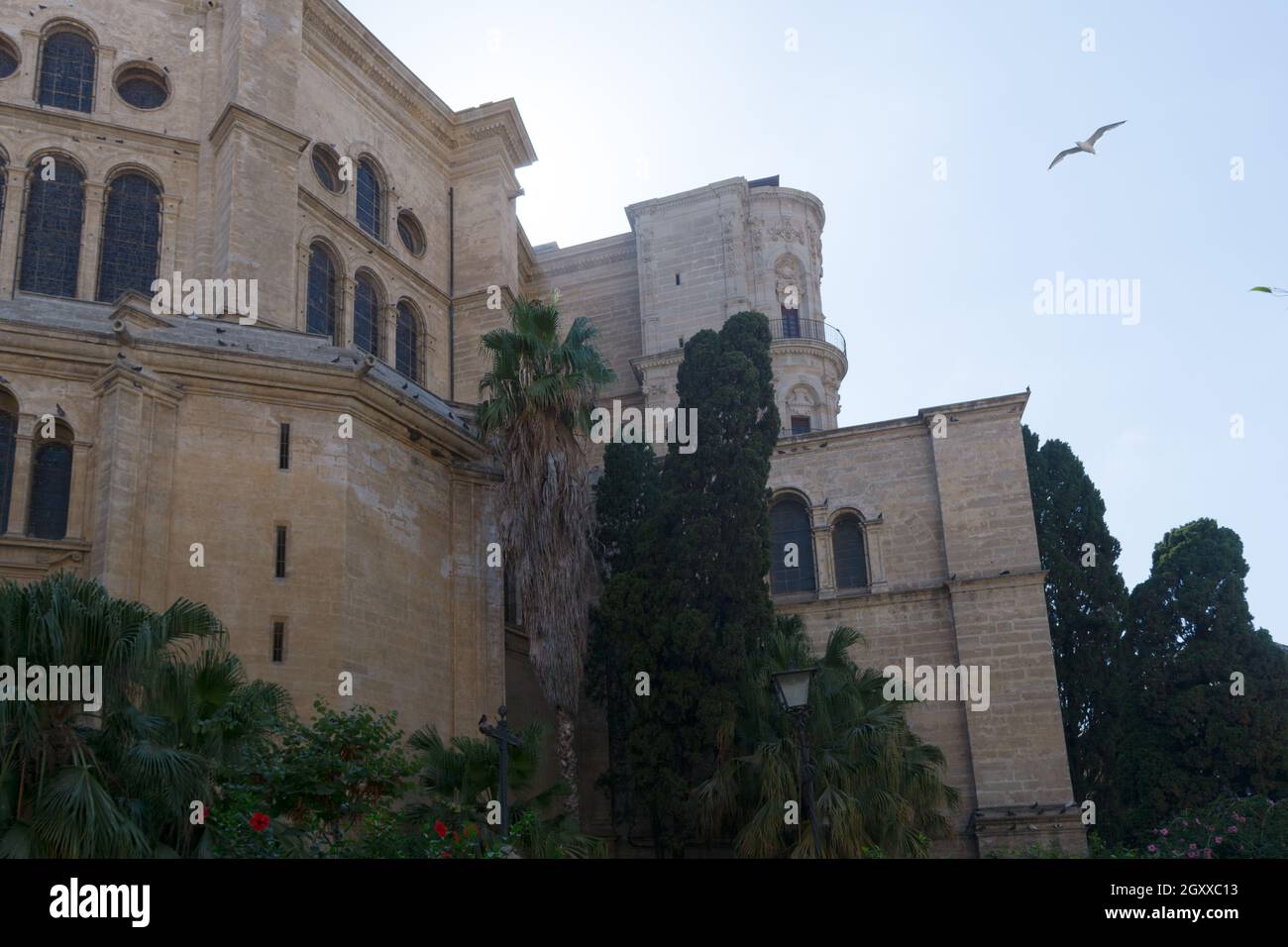 Die Kathedrale von Málaga, eine Römisch-katholische Kirche in Málaga, Spanien. Es ist in der Renaissance architektonische Tradition. Es war zwischen 1 konstruiert Stockfoto Die Kathedrale von Málaga, eine Römisch-katholische Kirche in Málaga, Spanien. Es ist in der Renaissance architektonische Tradition. Es war zwischen 1 konstruiert Stockfoto