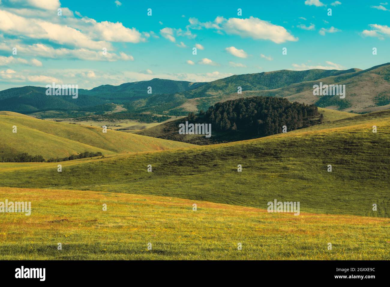 Zlatibor Hügellandschaft im Sommer von oben, Luftdrohnen-Fotografie von grünen Weideland und Wäldern Stockfoto