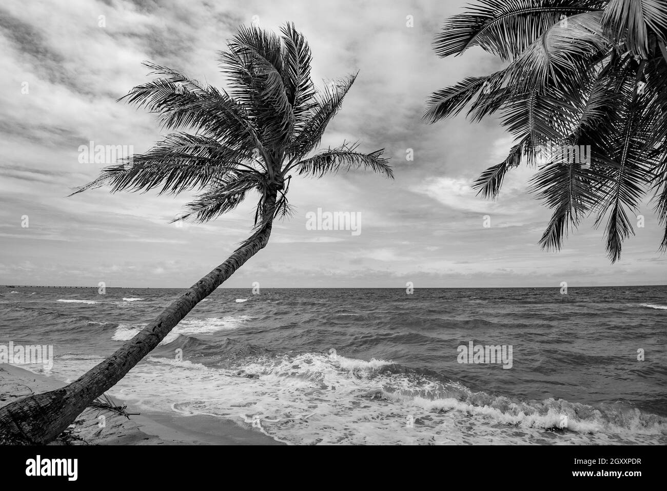 Wunderschön auf der Insel Phu Quoc im Sonnenuntergang Stockfoto