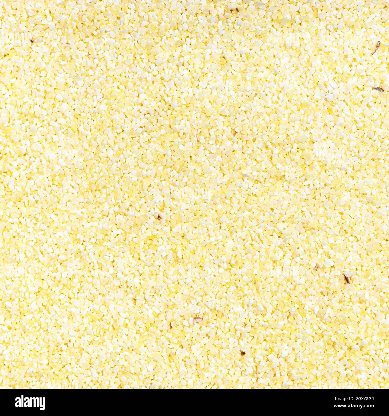 Quadratische Lebensmittel Hintergrund - ungekochte weiche Weizen Manna Grütze in der Nähe Nach oben Stockfoto