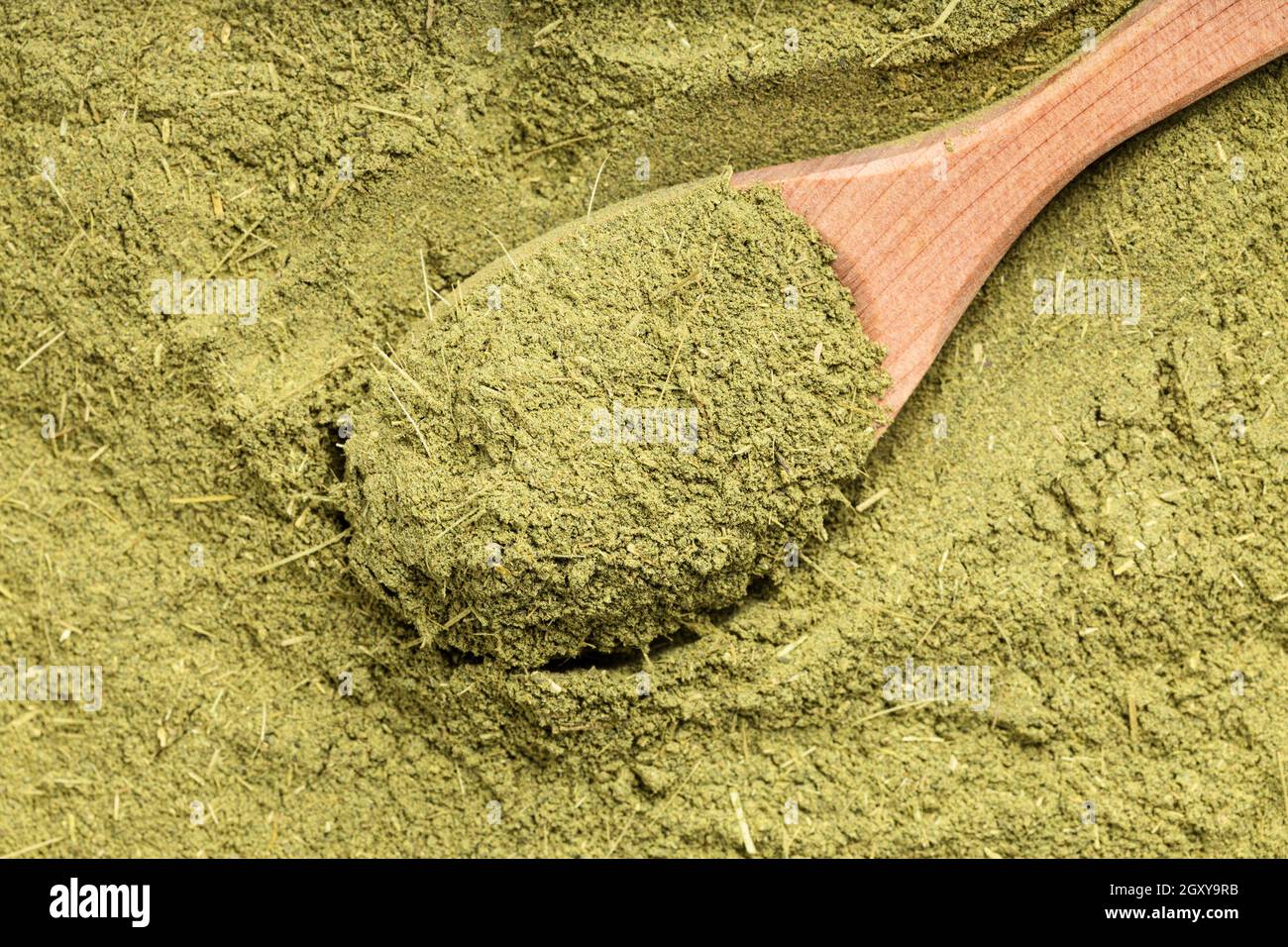 Draufsicht auf Holzlöffel mit gefrästem Stevia rebaudiana Kraut (Natürlicher Zuckerersatz) Nahaufnahme des Zuckerstapels Stockfoto