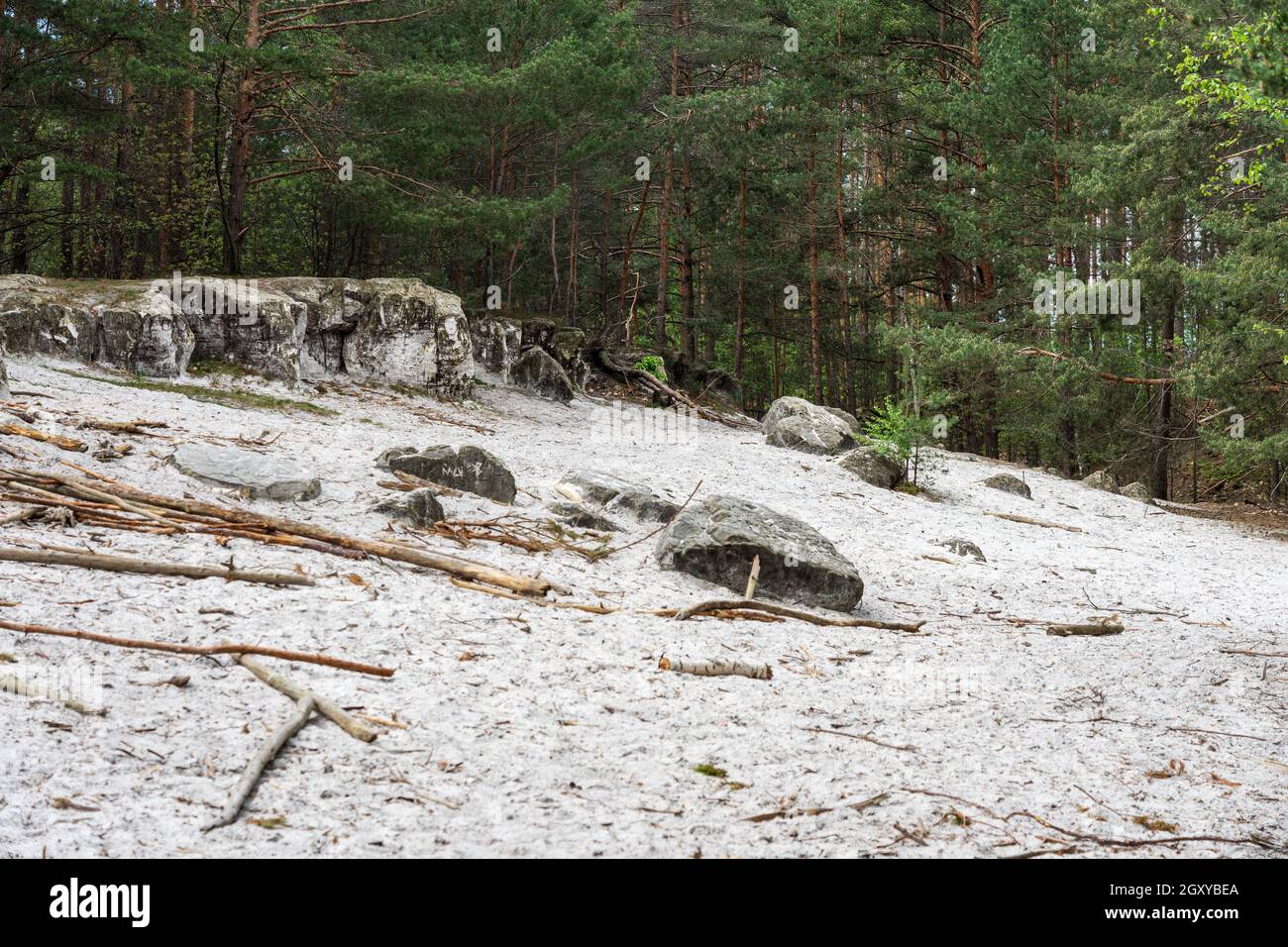 Buck'schen Schweiz (Buckschen Swiss) - besondere Naturlandschaft (Moraine - Art der Gletscherablagerungen, die letzte Eiszeit) in den Wäldern von Oberspreewal Stockfoto