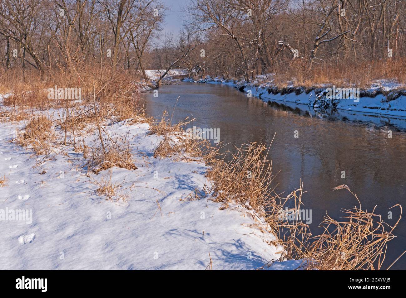 Ruhiger Strom in den Winterwälden im Ned Brown Preserve in Illinois Stockfoto