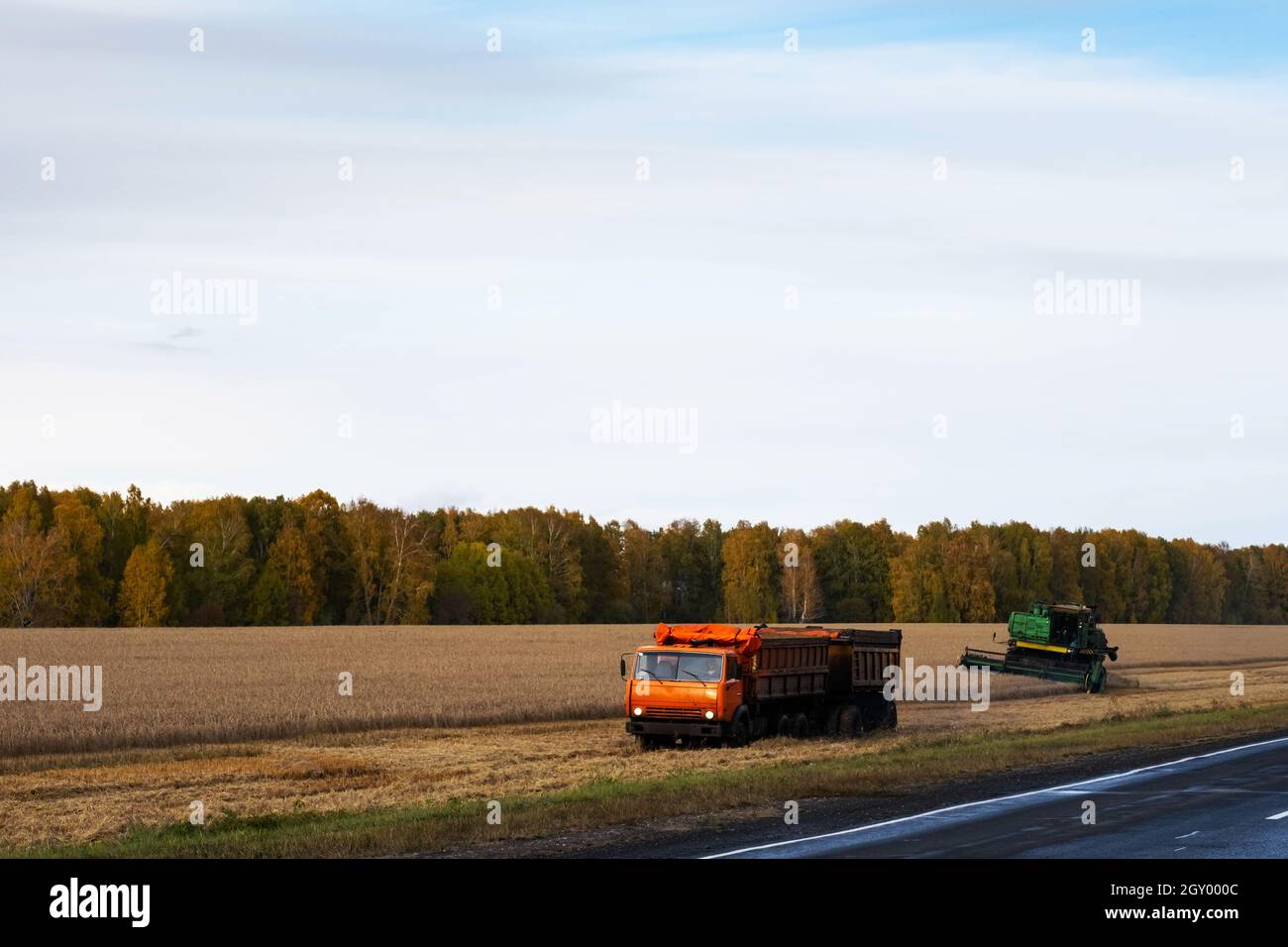 Kemerowo, Russland - 03. Oktober 2021: Mähdrescher und LKW, Erntemaschinen arbeiten auf dem Feld. Konzept der Agrarindustrie. Stockfoto