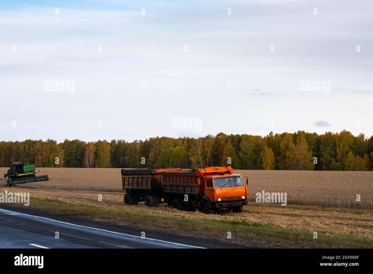 Kemerowo, Russland - 03. Oktober 2021: Mähdrescher und LKW, Erntemaschinen arbeiten auf dem Feld. Konzept der Agrarindustrie. Stockfoto