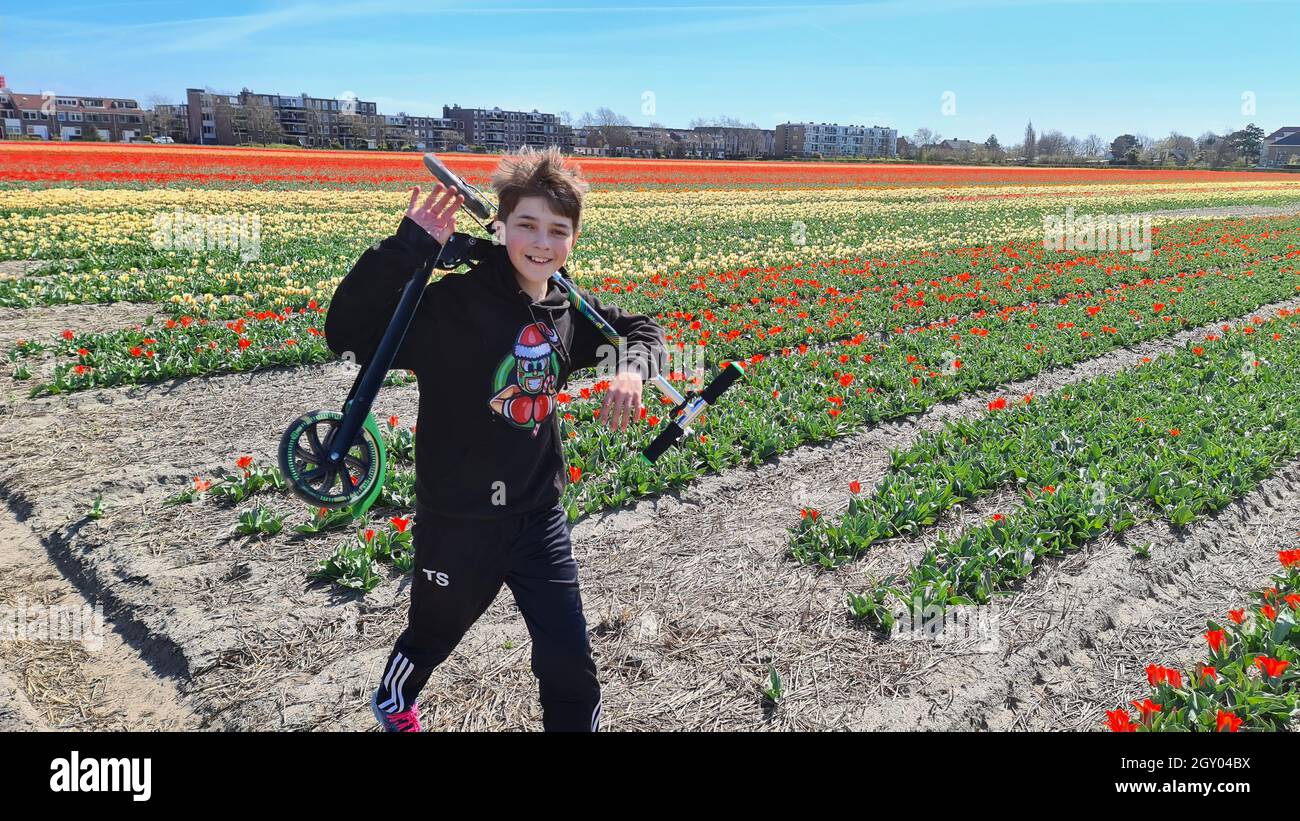 Glücklich winkender Junge mit Roller in einem blühenden Tulpenfeld, Niederlande Stockfoto
