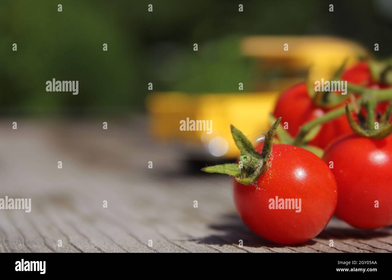 Tomaten und Vintage Yellow Truck Shallow DOF Stockfoto