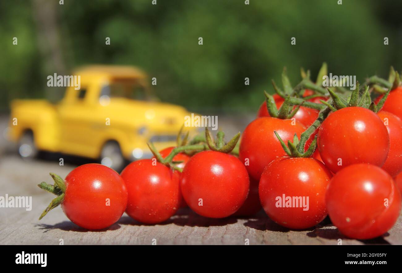 Tomaten und Vintage Yellow Truck Shallow DOF Stockfoto
