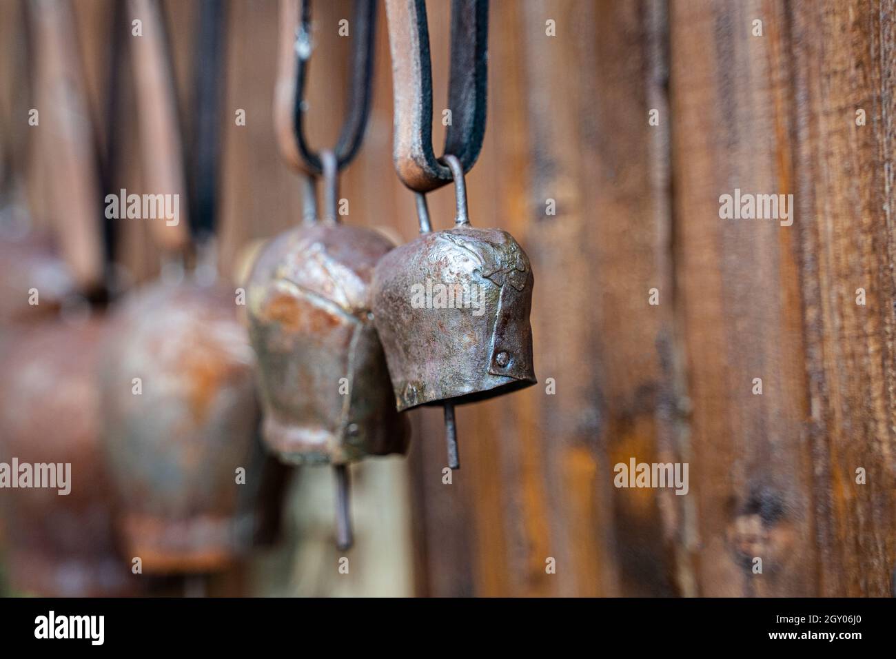 Perspektivische Ansicht Nahaufnahme von verrosteten Metallkuhglocken mit Lederkragen isoliert auf braunem Holzhintergrund Stockfoto