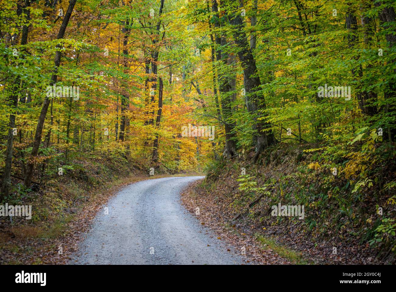 Bean Blossom Country Road - Herbstfarbe - Brown County - Nashville - Indiana Stockfoto