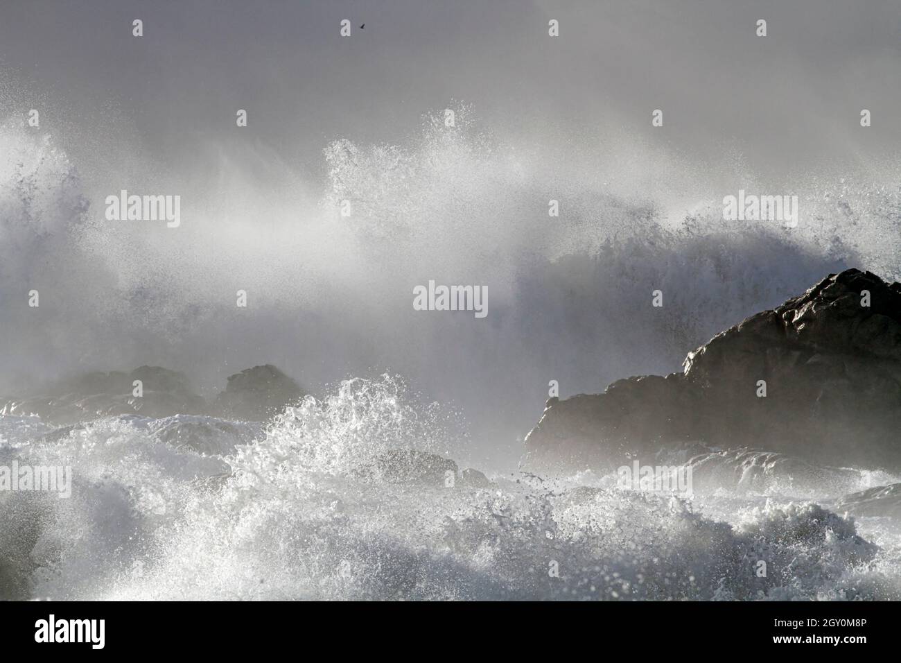 Sturm an der Küste seig große Welle brechen über Felsen Und Klippen sehen Spritzer und Spray Stockfoto