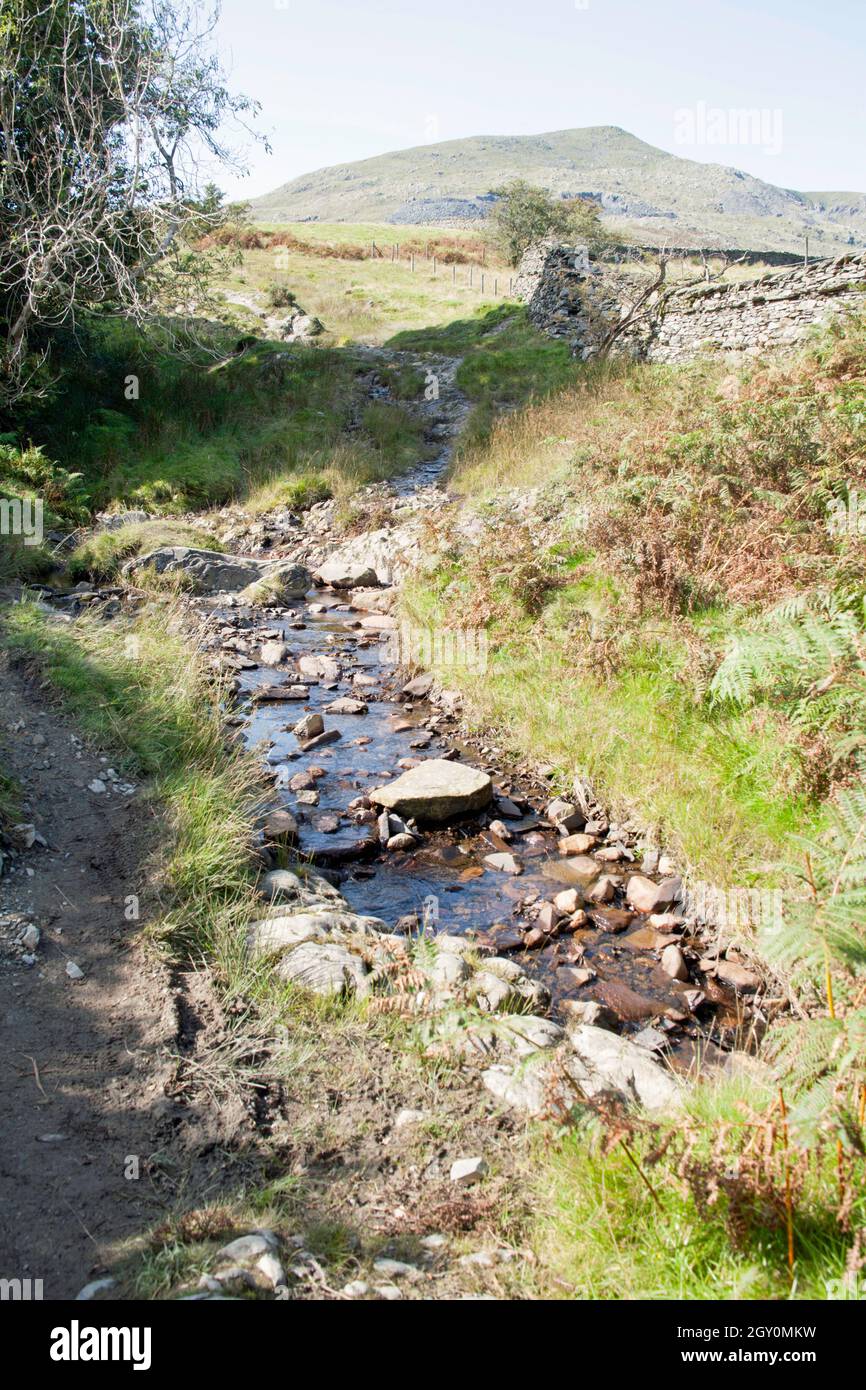 Kleiner Bach und Fußweg in der Nähe des Park Gate Coniston Cumbria England Stockfoto