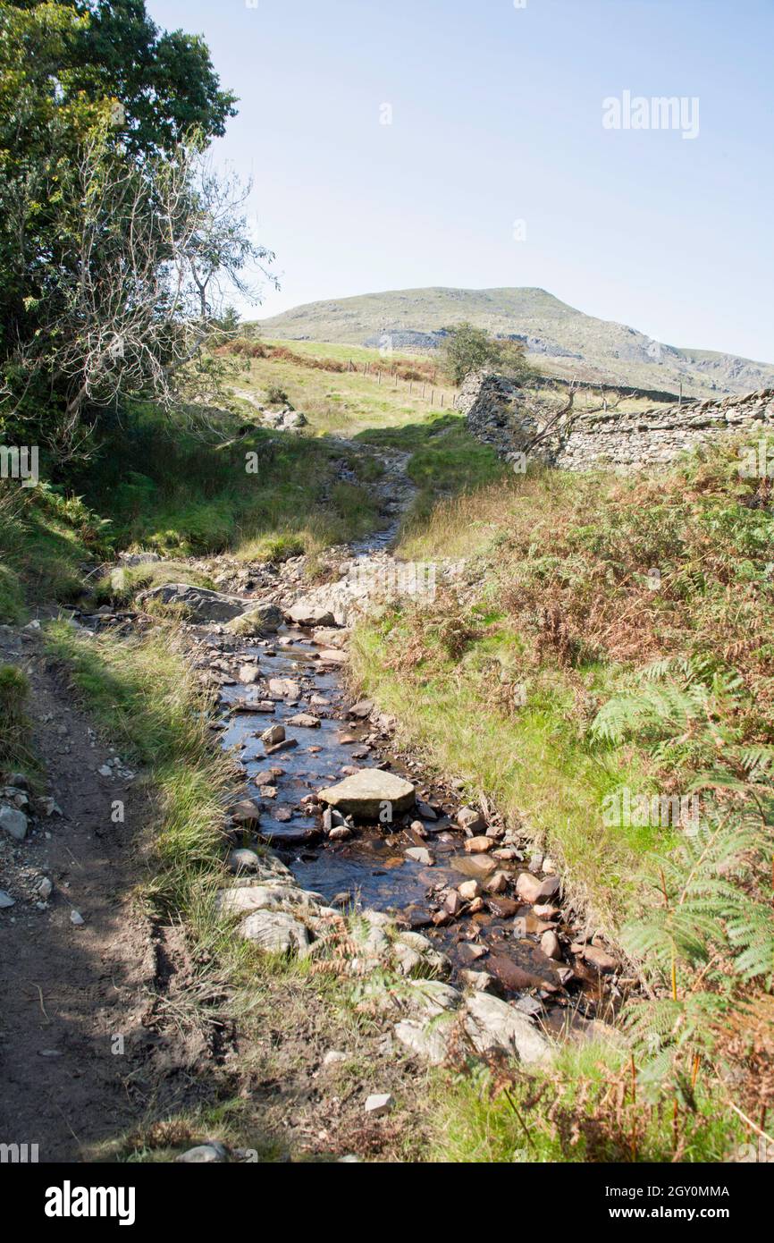 Kleiner Bach und Fußweg in der Nähe des Park Gate Coniston Cumbria England Stockfoto