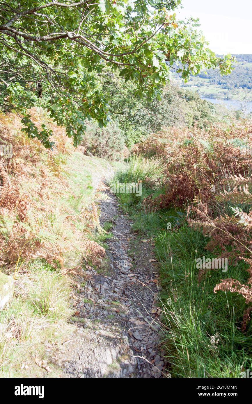 Fußweg in der Nähe des Park Gate Coniston Cumbria England Stockfoto
