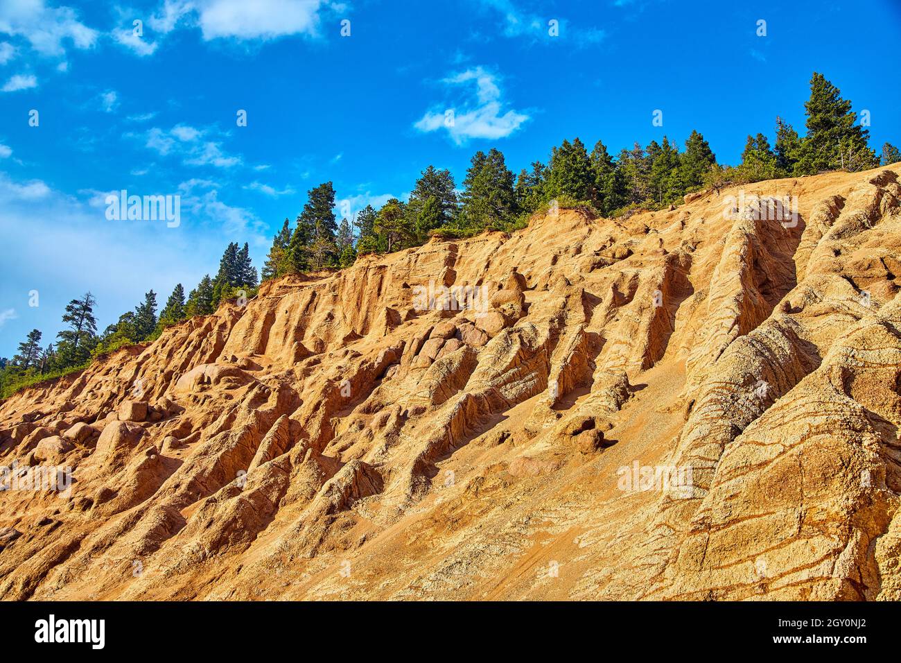 Spitze des Berggipfens mit welligen Felsen und Kiefernschicht Stockfoto