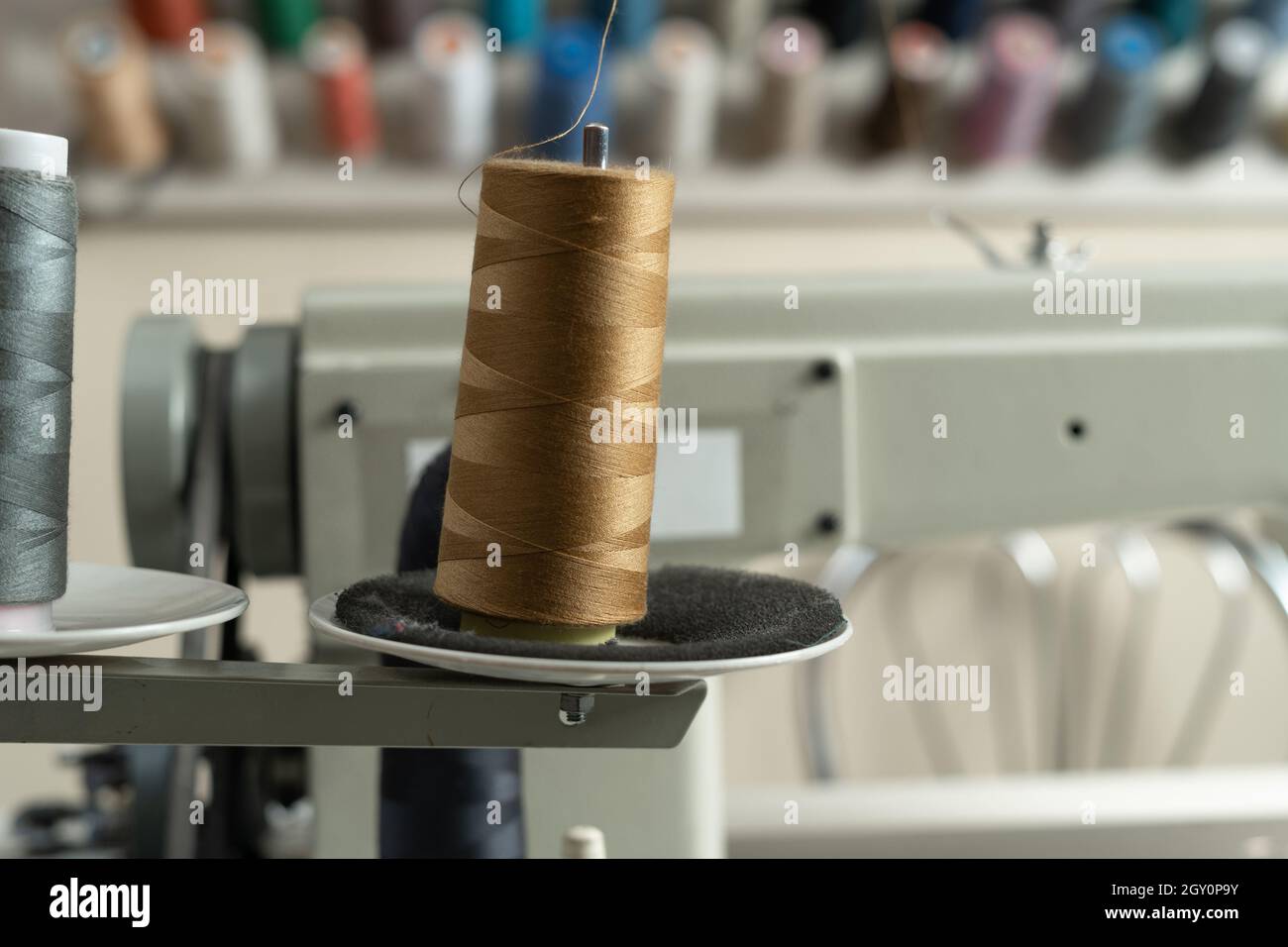 In einer Nähwerkstatt stehen Spulen aus braunem und grauem Garn auf einer Nähmaschine. Hochwertiges Nahtmaterial in der Produktion. Stockfoto
