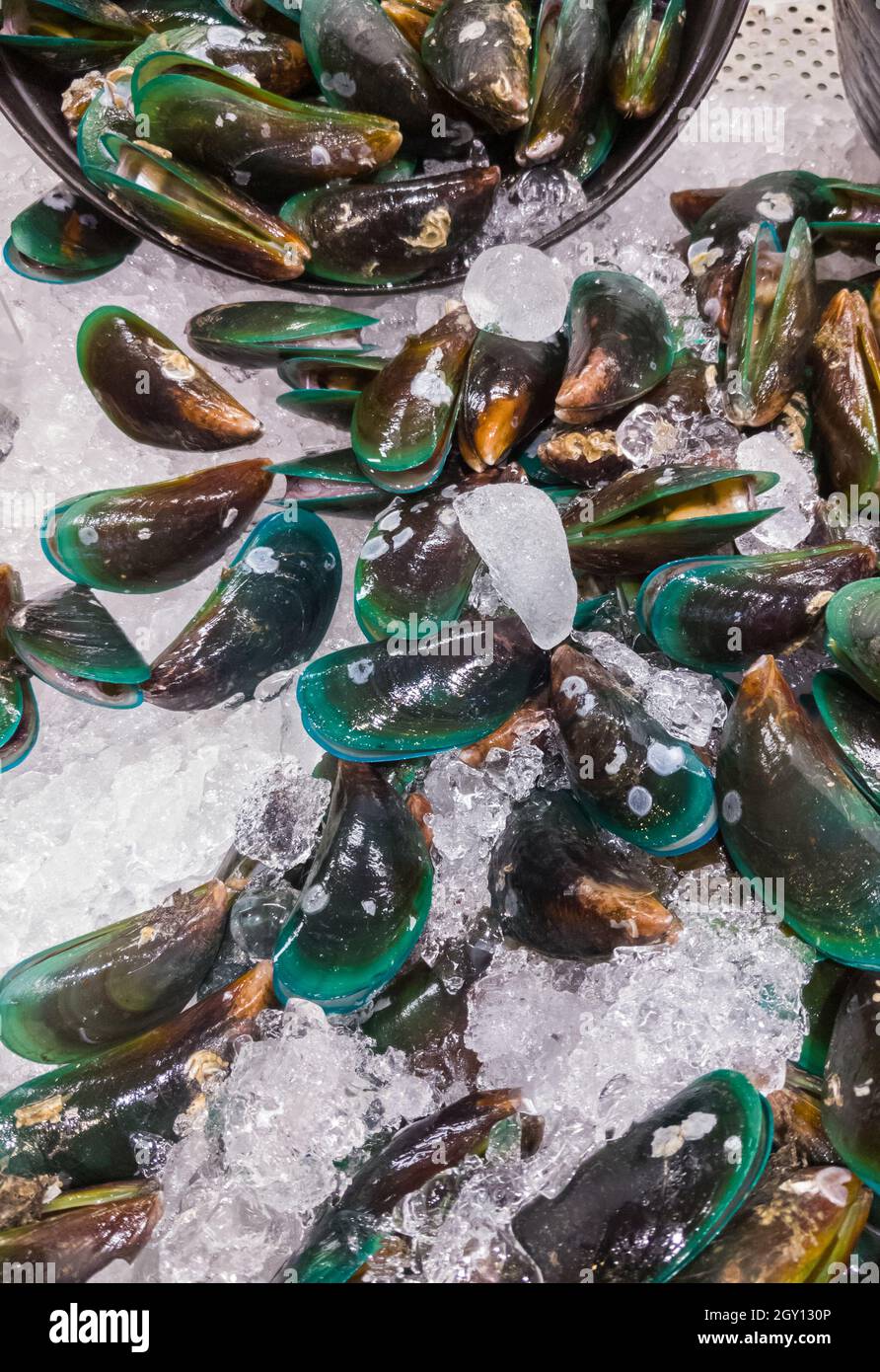 Gruppe der rohen Muscheln auf der Eisschale zum Verkauf des Fischmarktes in der Nähe des Meeres, Vorderansicht für den Hintergrund. Stockfoto