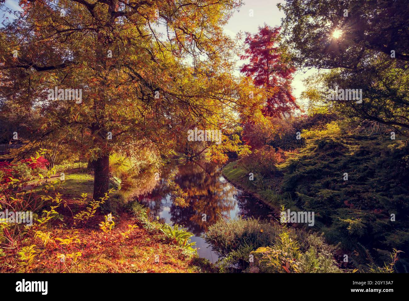 Herbstlaub in Frankreich. Herbstliche Farben Landschaft Stockfoto