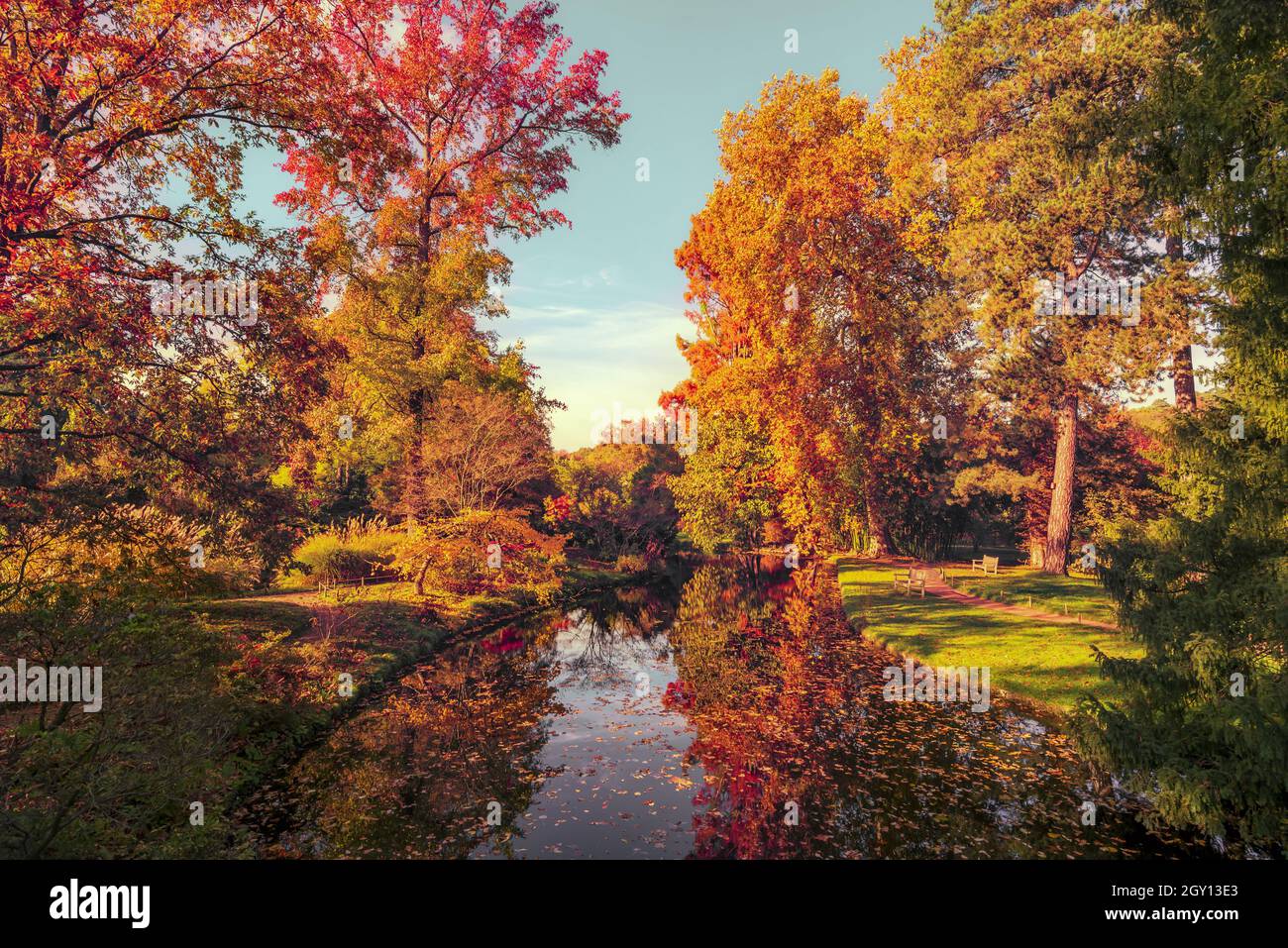 Herbstlaub in Frankreich. Herbstliche Farben Landschaft Stockfoto