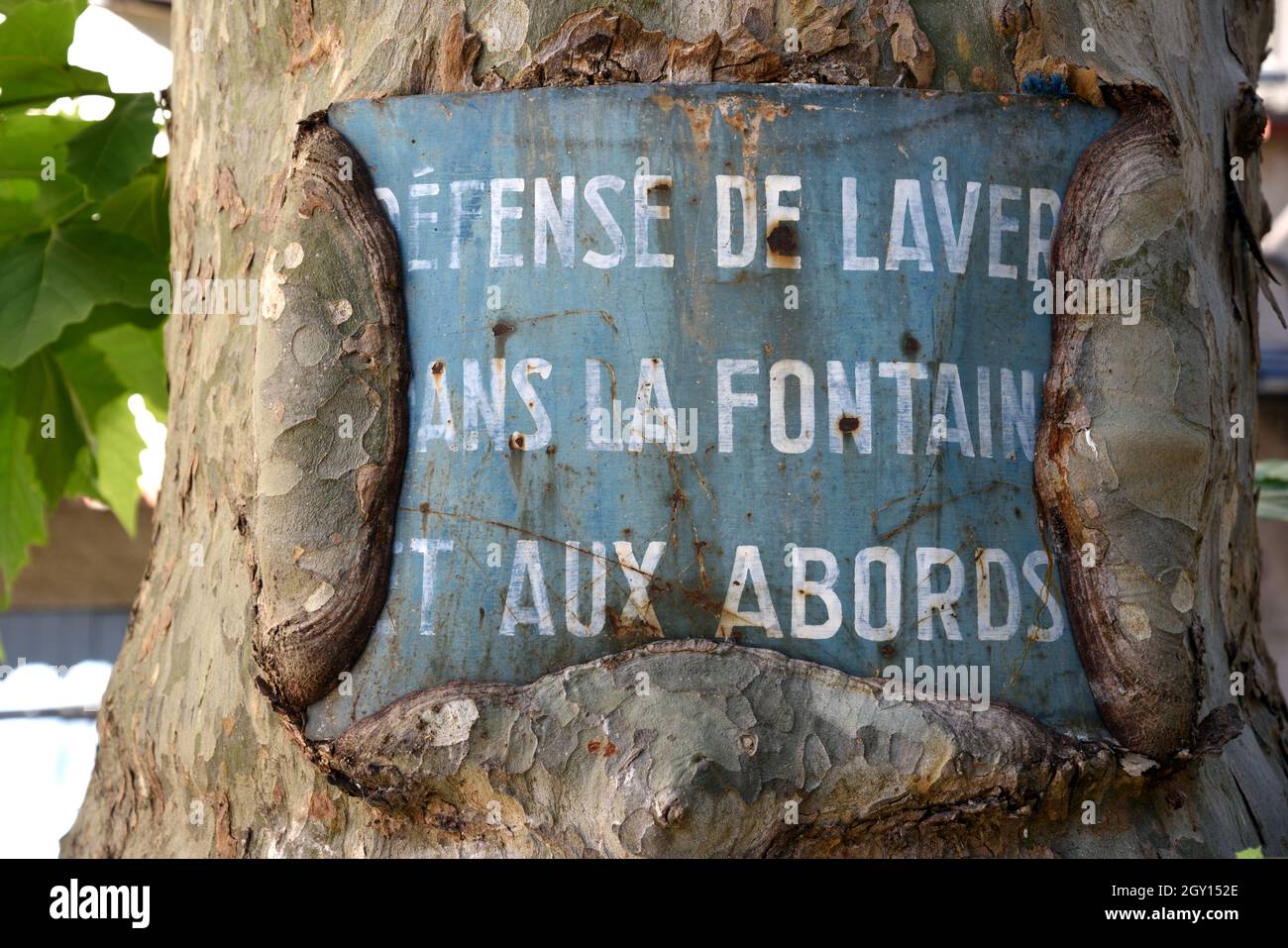 Altes Metallschild, das das Waschen im Dorfbrunnen verbietet eingebettet oder in Sekundärwachstum von Flayosc Var Provence France verschlungen ist Stockfoto