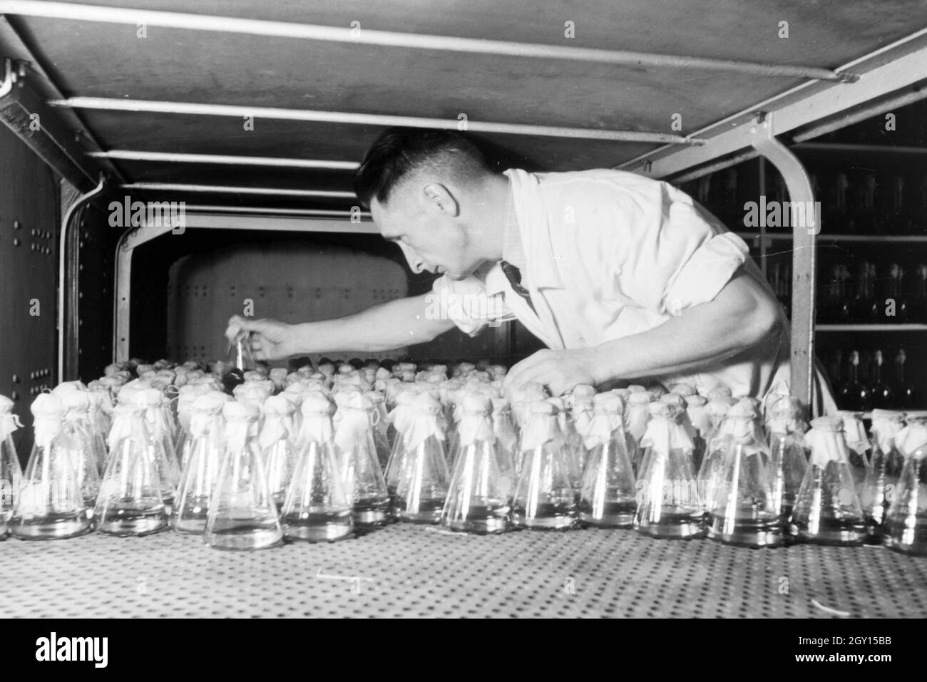 Ein Laborant sortiert abgefüllte Medikamentenproben in Arbeit der Behringwerke, Marburg, Deutschland 1930er Jahre. Eine Lab Assistant ist die Flasche Medizin Proben in ein Labor der Behringwerke, Marburg, Deutschland 1930. Stockfoto