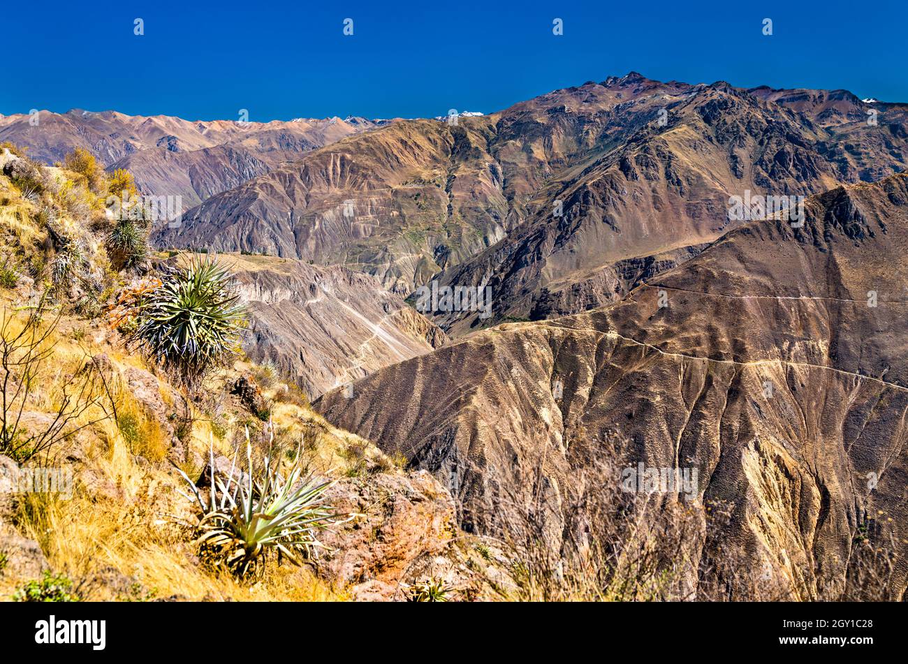 Landschaft des Colca Canyon in Peru Stockfoto