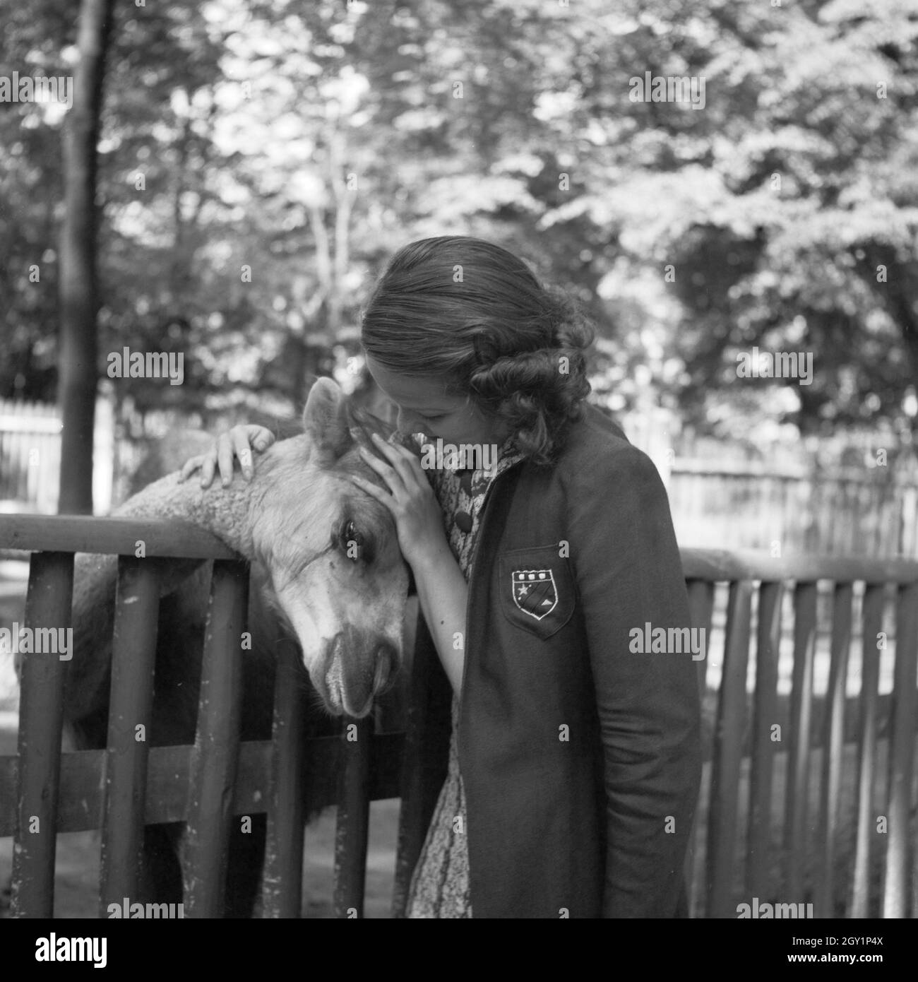 Tierpark wilhelma Fotos und Bildmaterial in hoher Auflösung Alamy