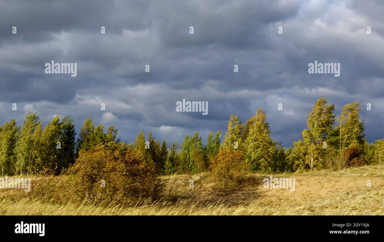 Schöne landschaftliche Naturlandschaft, Schönheit in der Natur Stockfoto