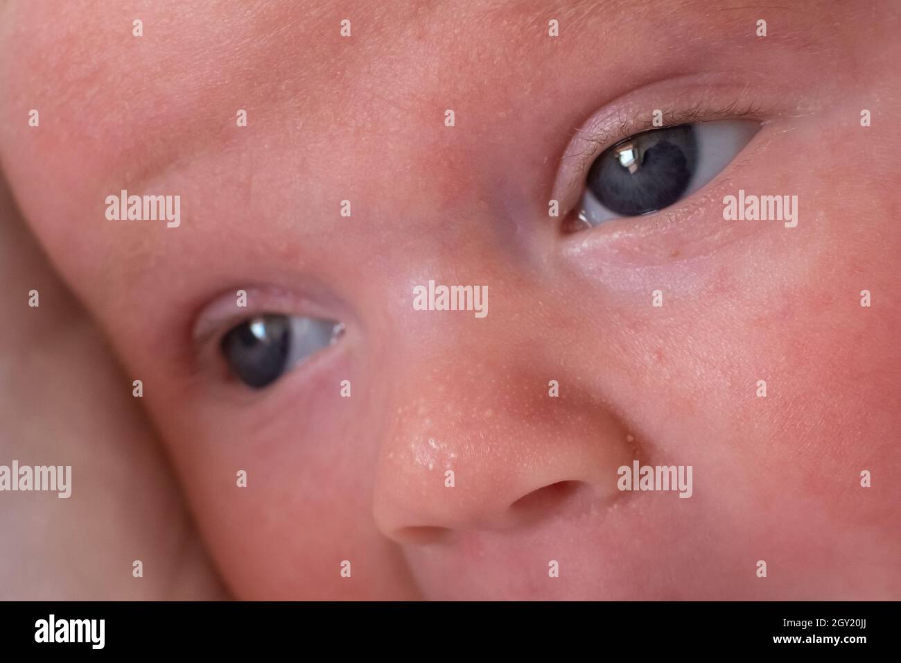 Nahaufnahme eines Neugeborenen mit blauen Augen. Stockfoto