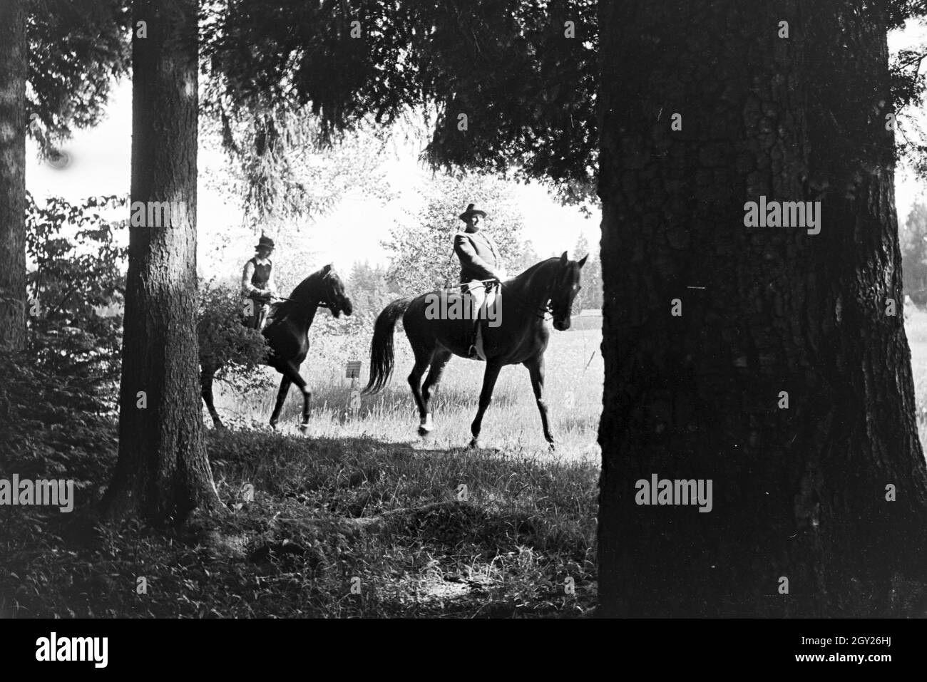 Reiter bei einem Reitausflug im Wald bei Freudenstadt, Deutschland 1930er Jahre. Reiter auf einem Pferd reiten Reise in den Wäldern in der Nähe von Freudenstadt, Deutschland 1930. Stockfoto