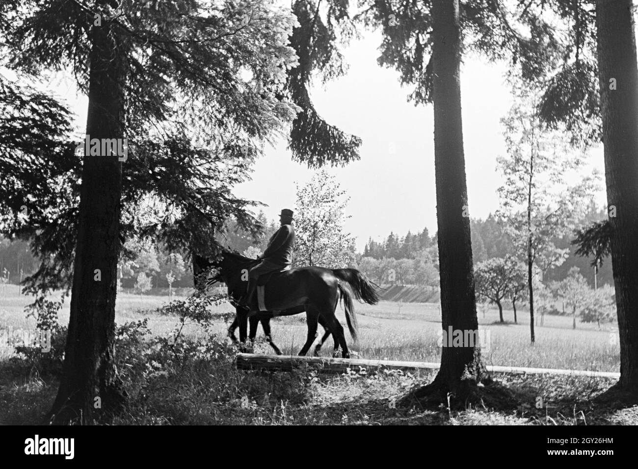 Reiter bei einem Reitausflug im Wald bei Freudenstadt, Deutschland 1930er Jahre. Reiter auf einem Pferd reiten Reise in den Wäldern in der Nähe von Freudenstadt, Deutschland 1930. Stockfoto