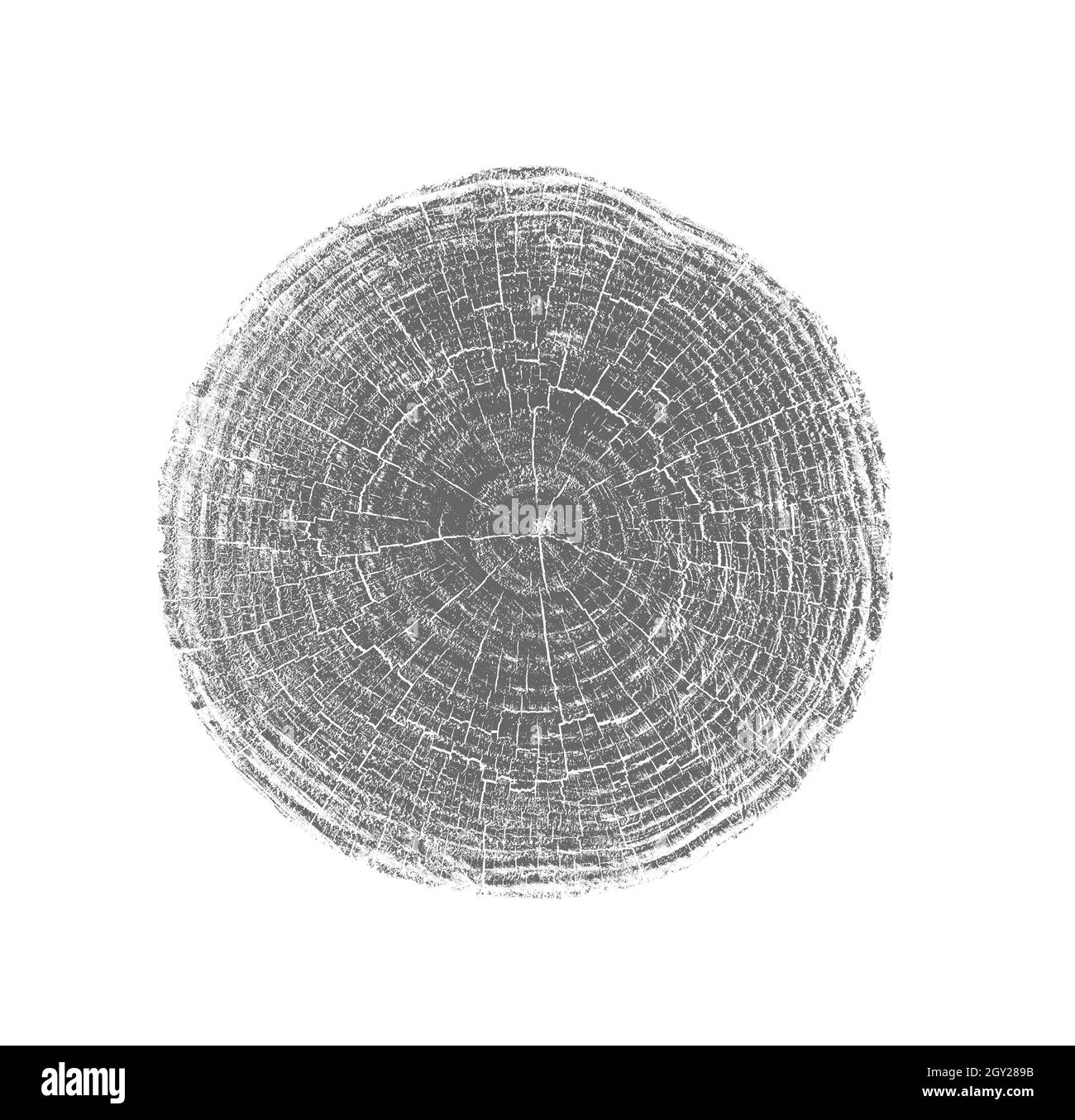 Tiefblaues Foto einer detailgetreuen Schnittbaumbautscheibe mit Ringen und organischer Textur. Monotone Baumringdruck gepresstes Holz. Stockfoto