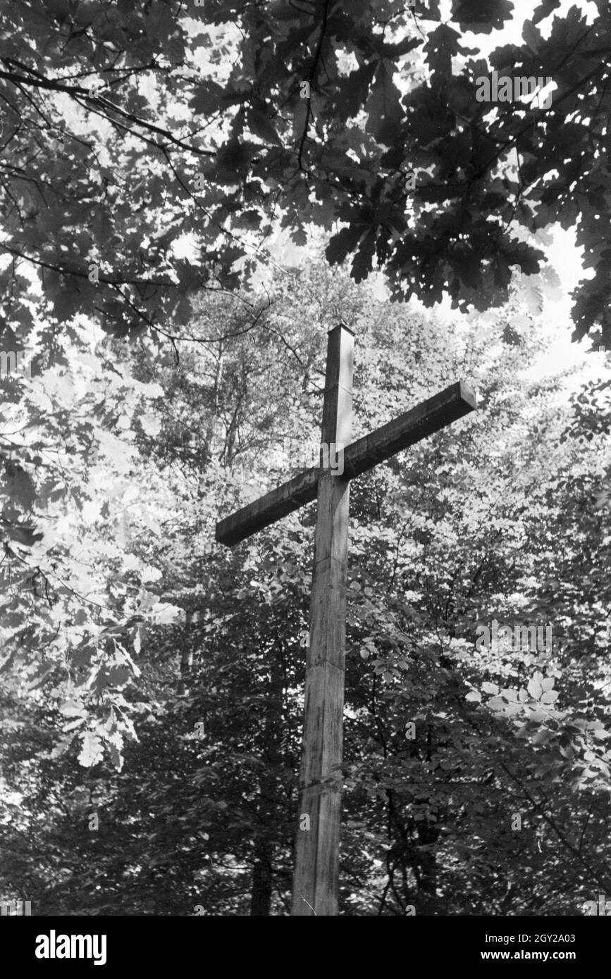 Das Ehrenmal für die Gefallenen des Ersten Weltkriegs Teilnehmer auf