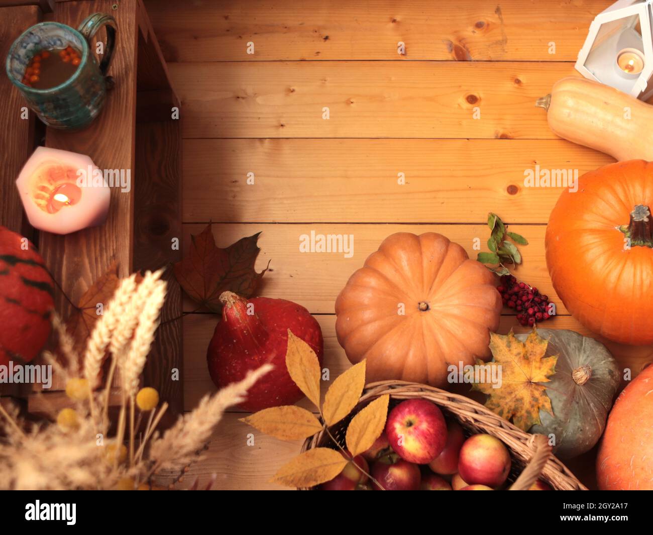 Herbst Holzhintergrund mit Kürbissen, Tasse Sanddorntee, Herbstblättern, getrockneten Blumen und Kerzen Stockfoto