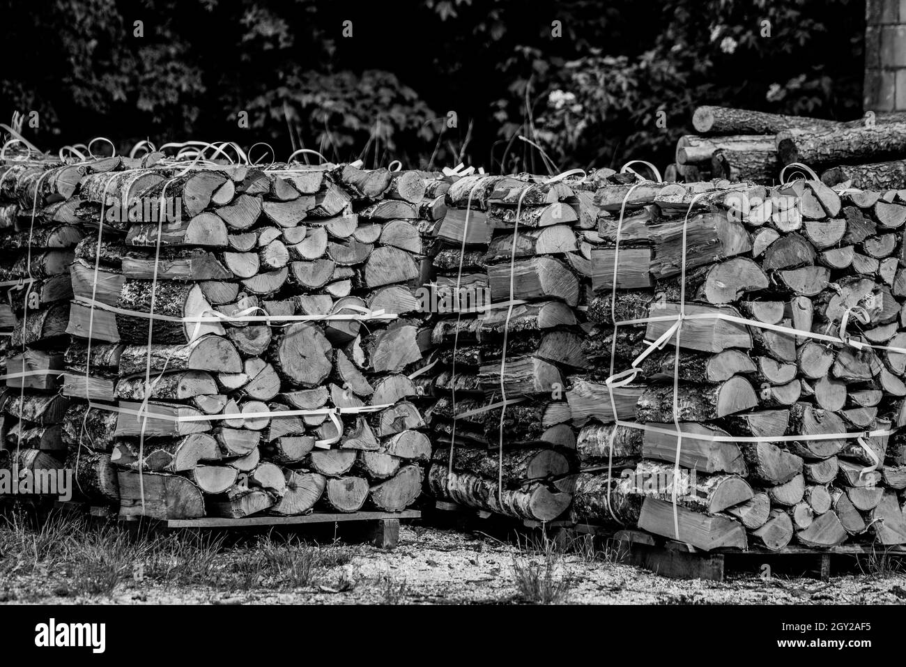 Gestapeltes Brennholz für die Außentrocknung. Trocknen von Holz für den Kamin. Stockfoto