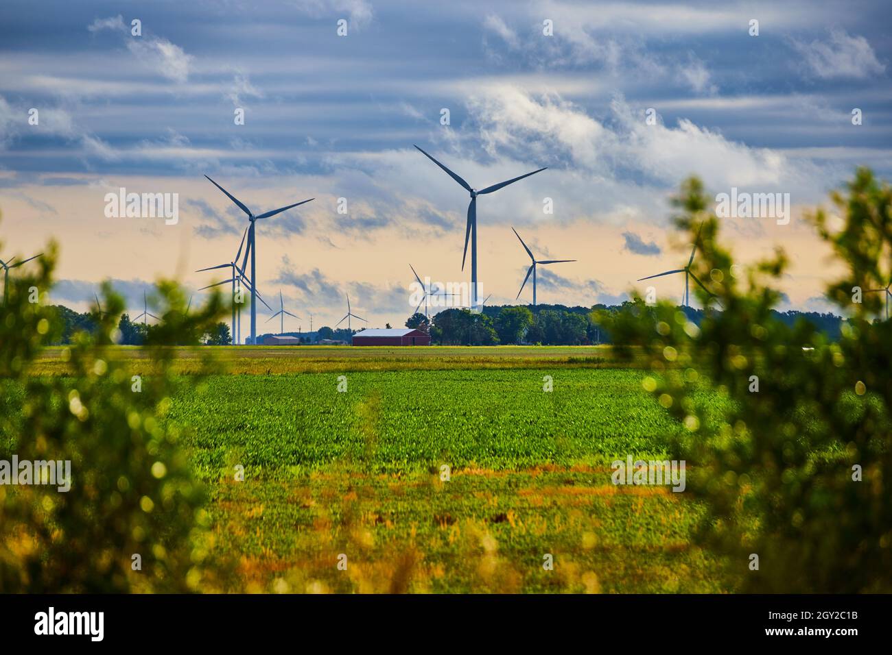 Feld von Windkraftanlagen in Farm Feld mit weichen Wolken Stockfoto