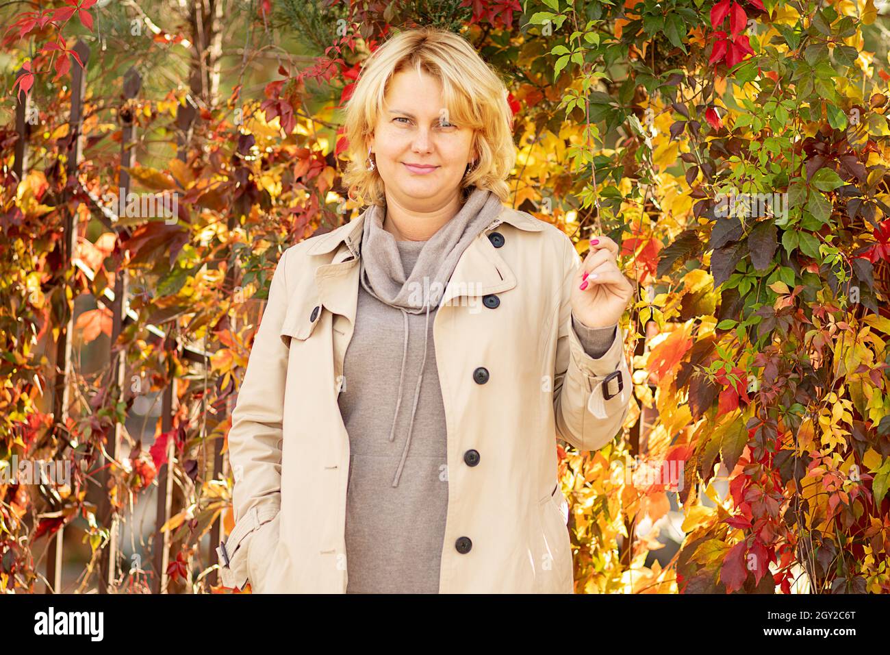 Porträt einer Frau 35 Jahre alt blonde kurze Haare in beigem Mantel auf dem Hintergrund des Herbstlaubes, Blick auf die Kamera Stockfoto