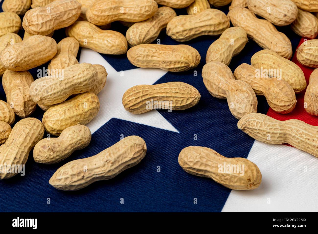 Erdnüsse in Schale auf der Flagge von Texas. Erdnussanbau, Handel, Zölle und Marktpreiskonzept. Stockfoto